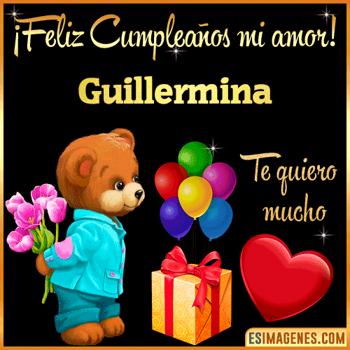 Feliz Cumple mi Amor  Guillermina
