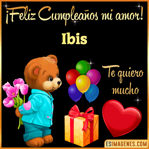 Feliz Cumple mi Amor  Ibis