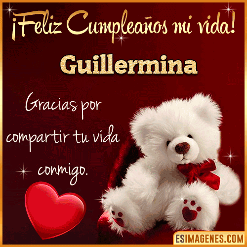 Feliz cumpleaños amor de mi vida  Guillermina
