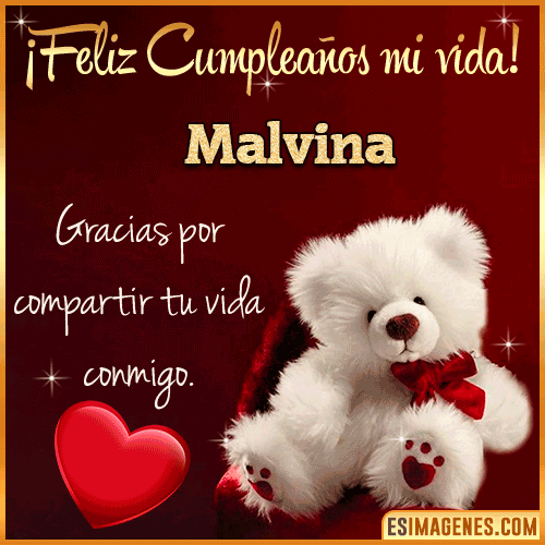 Feliz cumpleaños amor de mi vida  Malvina