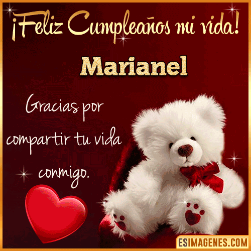 Feliz cumpleaños amor de mi vida  Marianel