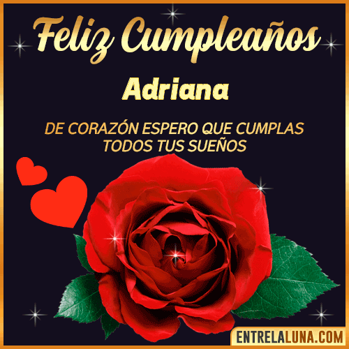 Feliz Cumpleaños con Rosas  Adriana