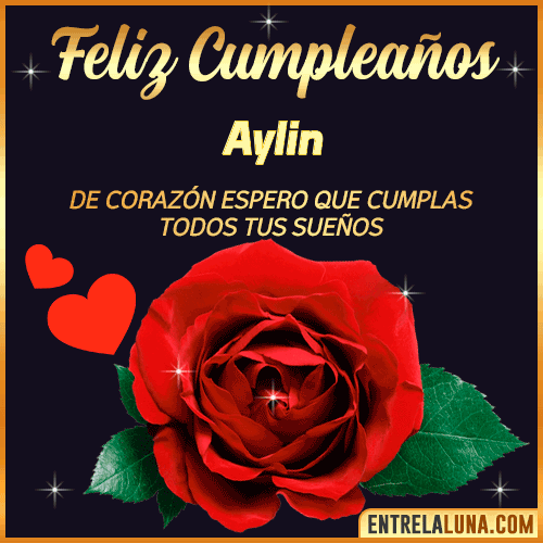 Feliz Cumpleaños con Rosas  Aylin