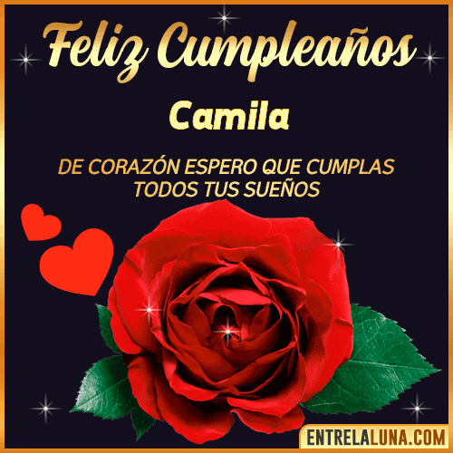 Feliz Cumpleaños con Rosas  Camila