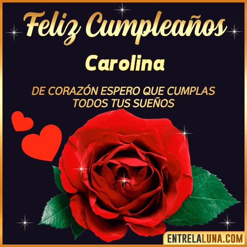 Feliz Cumpleaños con Rosas  Carolina