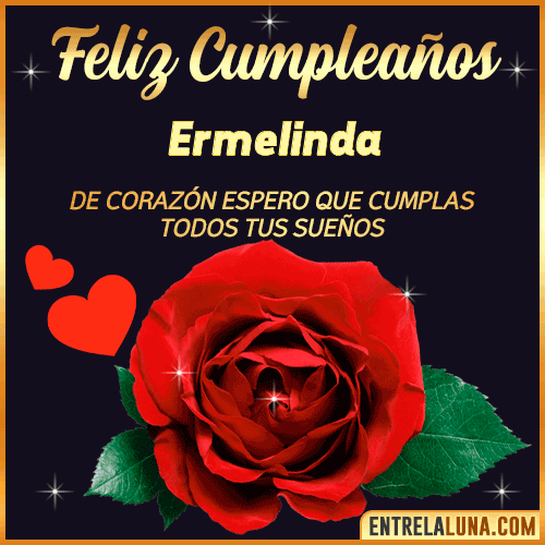 Feliz Cumpleaños con Rosas  Ermelinda