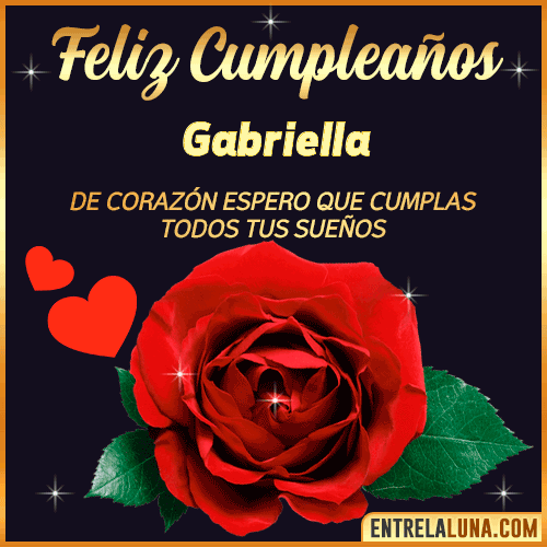 Feliz Cumpleaños con Rosas  Gabriella