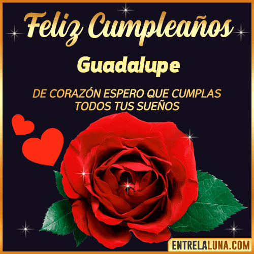 Feliz Cumpleaños con Rosas  Guadalupe