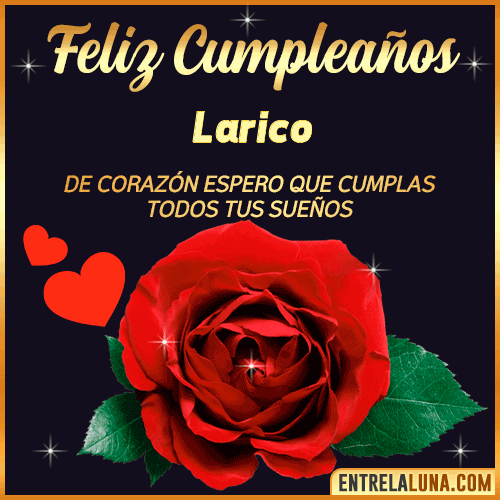 Feliz Cumpleaños con Rosas  Larico