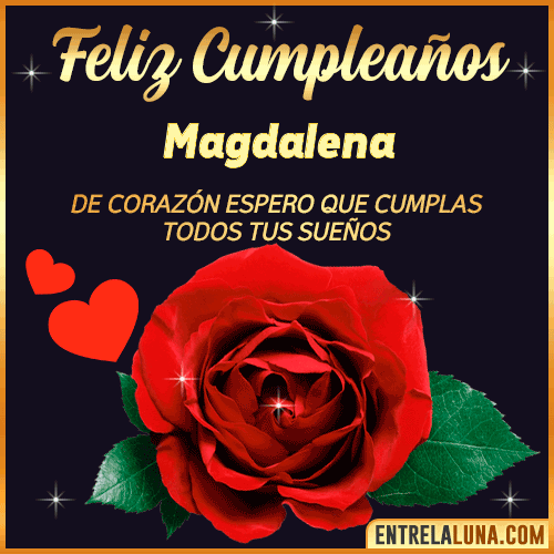 Feliz Cumpleaños con Rosas  Magdalena