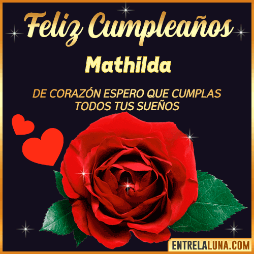 Feliz Cumpleaños con Rosas  Mathilda