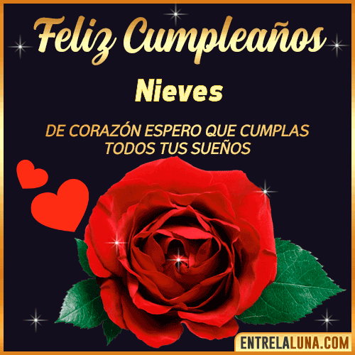 Feliz Cumpleaños con Rosas  Nieves