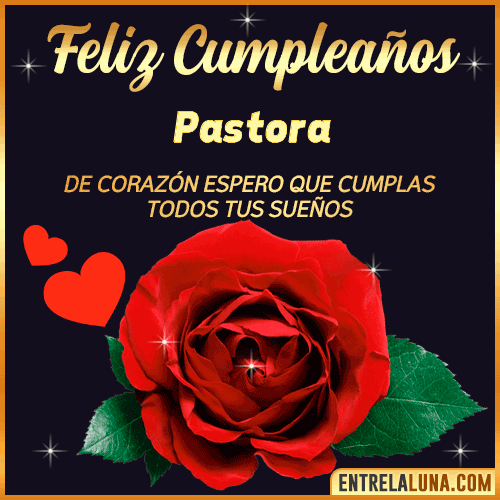 Feliz Cumpleaños con Rosas  Pastora
