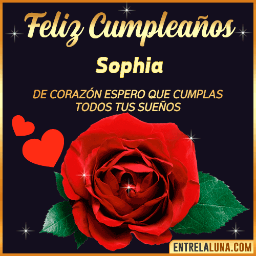 Feliz Cumpleaños con Rosas  Sophia
