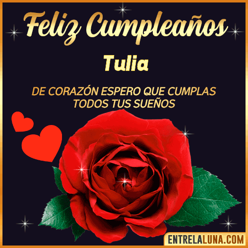 Feliz Cumpleaños con Rosas  Tulia