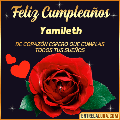 Feliz Cumpleaños con Rosas  Yamileth