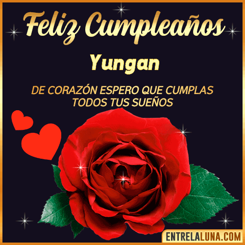 Feliz Cumpleaños con Rosas  Yungan