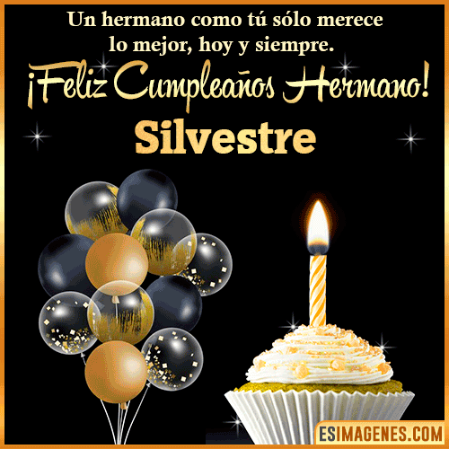 Gif feliz cumpleaños hermano  Silvestre