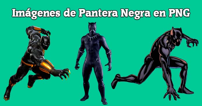 Imágenes Pantera Negra en PNG